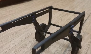 Павлодарлық инженер табандарынан айырылған мысыққа 3D принтерде арба жасады