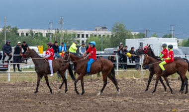 Сто скакунов вышли на отбор чемпионата РК в Павлодаре