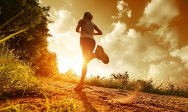 В Павлодаре выберут лучший спортивный видеоролик