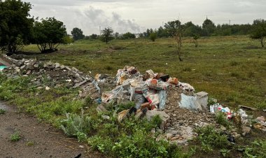 Павлодарский район не прошёл инспекцию по стихийным свалкам