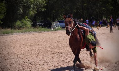 Поднять монету на скаку: кто представит Казахстан на Играх кочевников