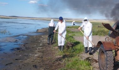 Баянауылдағы Шалқар көлінде дала сарыалақаздары белгісіз жағдайда қырылып қалған