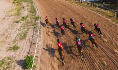 Дүниежүзілік көшпенділер ойындарындағы бәйгеге шабатын аттар белгілі болды