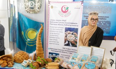 «Бес миллион теңге»: Павлодарда кәсіпкерлерлерге қолдау көрсетілуде