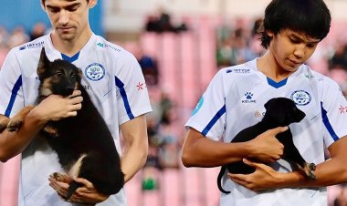 «Ертіс» ФК ойыншылары алаңға күшіктермен шықты