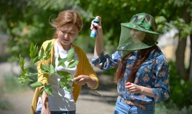 Жители Павлодарской области привыкают к жизни без комаров