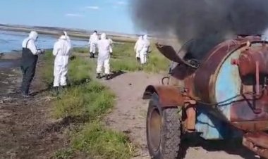 В Баянаульском районе отобрали пробы почвы и воды