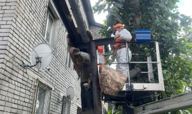 Экибастузский монополист взялся за капремонт труб