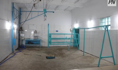 Павлодар облысында мал ұрлығына күдікті жеті адам ұсталды