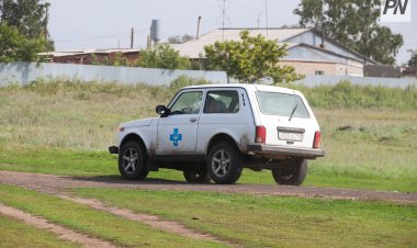 Почти две тысячи домашних птиц погибли в Павлодарской области