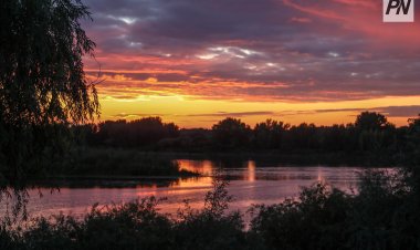 29 августа в Павлодарской области ожидают дождь с грозой