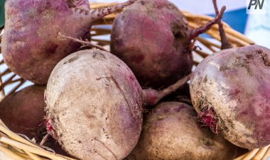 В Майском районе вырастили экологически чистый продукт