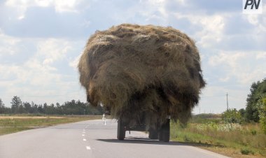 Павлодар облысында шабындықтағы өрт қауіпсіздігі күшейтілді