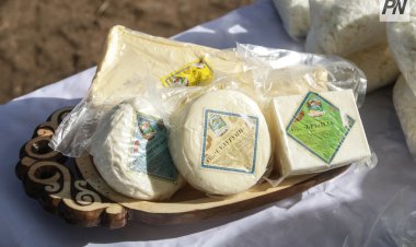 Павлодарским предпринимателям помогут открыть онлайн-продажи