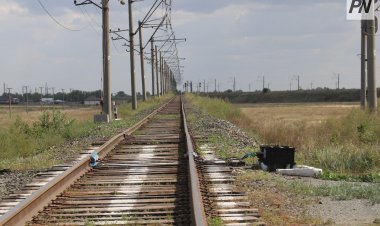 Павлодар облысында теміржолға жақын жерде мал жаю тыйылар емес
