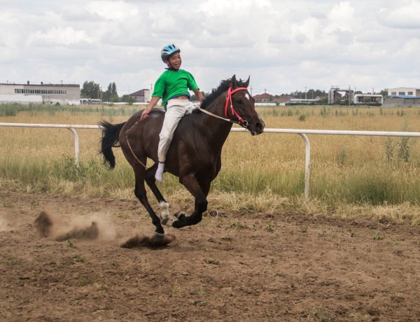 В Иртышском районе растёт новое поколение наездников