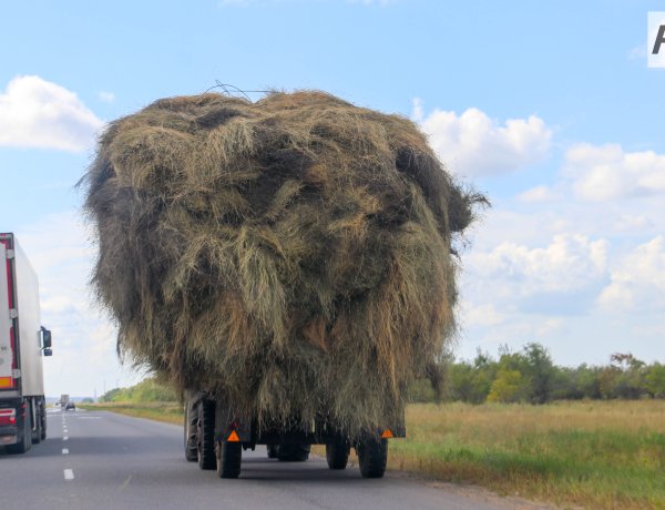 Как безопасно хранить сено и готовить печи к зиме