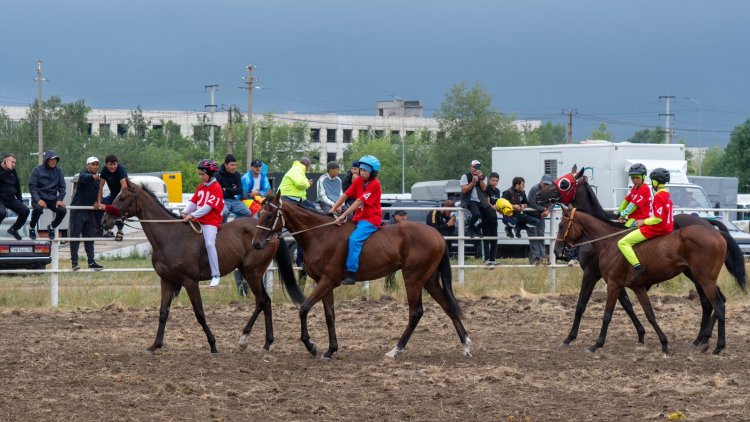 Сто скакунов вышли на отбор чемпионата РК в Павлодаре