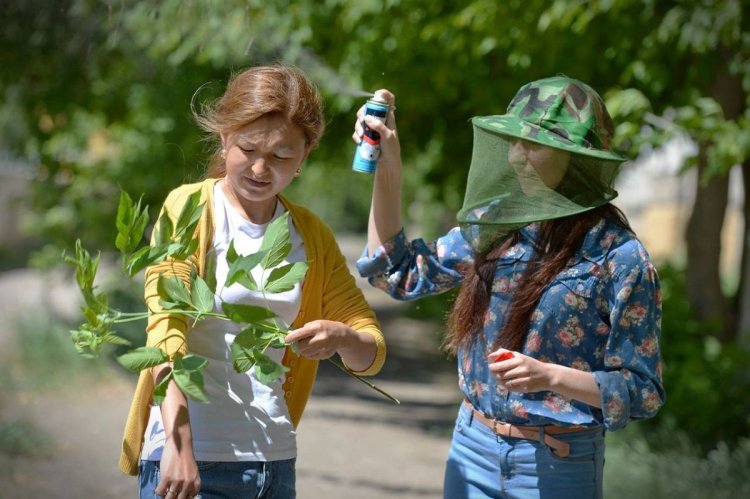 Павлодар облысының тұрғындары масасыз өмірге үйренуде