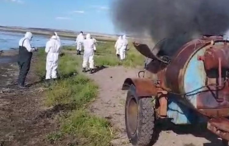 В Баянаульском районе отобрали пробы почвы и воды