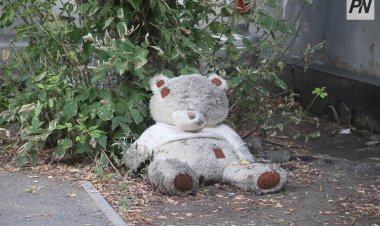 В испанском кафе одиноким посетителям предлагают в компанию плюшевых мишек