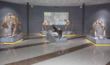 Павлодарцев с семьями пригласили в музей