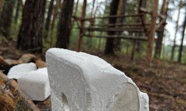 Павлодарские лесники подкормили животных солью