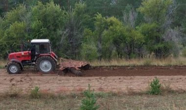 «Ертіс орманында» орман өрттерінің алдын алу жұмыстары жалғасуда