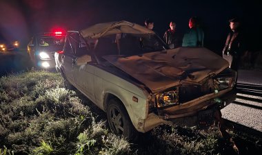 Павлодар облысында автокөлік жылқыға соғылды