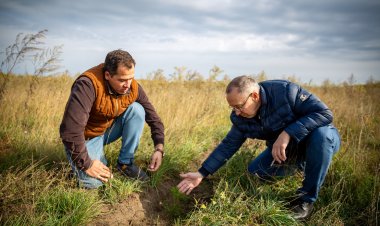 Как группа ERG помогает Павлодарской области стать зеленее