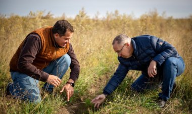 ERG тобы Павлодар облысын көгалдандыруға сүбелі үлес қосып жатыр