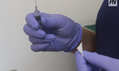 Жеке емшара кабинеттерінің қызметіне бақылау күшейтіледі