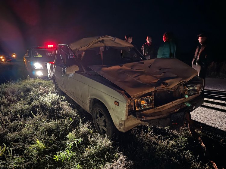 Павлодар облысында автокөлік жылқыға соғылды