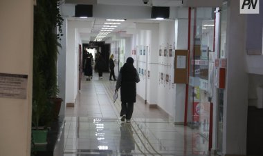 Атаулы шәкіртақы, жаңа мамандықтар: Екібастұз колледждерінің жоспары қандай?