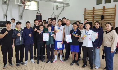 Павлодар облысының үздік боксшылары анықталды