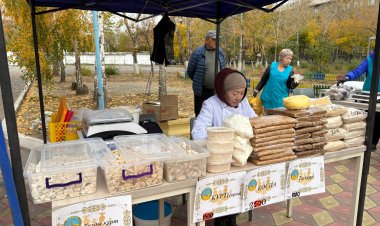 Жәрмеңке мен фотоальбомдар: Павлодарда референдум қалай өтуде?