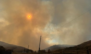 Баянауылдағы өрт: ҚР ТЖ министрі жағдайды баяндады
