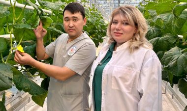 Павлодарский колледж готов восполнить дефицит специалистов теплиц