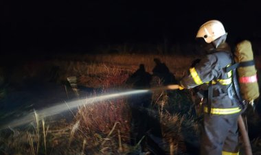 В Павлодарской области птица стала причиной степного пожара