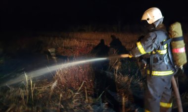 Павлодар облысында электр желісіне отырған құс өрт себепкеріне айналды