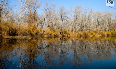 Дождливо будет в Павлодарской области 23 октября