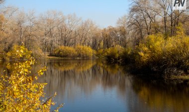 Туманно будет в Павлодарской области 15 октября