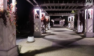 Туманно и облачно будет в Павлодарской области 17 октября