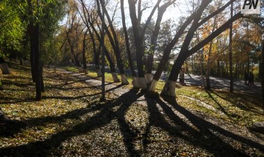 19 қазанда Павлодар облысында күн ашық болады