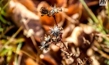 Какая погода будет в Павлодарской области в первый день ноября