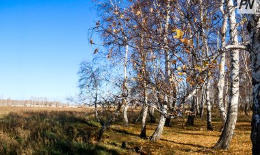 24 қазанда Павлодар облысында жел болады