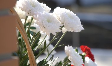 Павлодарда өрттен қаза тапқан командирге мемориалдық тақта орнатылды