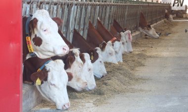 В Павлодаре обсудили вопросы субсидирования аграриев