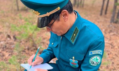 Шарбақты ауданының орман шебері: 7 мың гектар мен жануарларға жауаптымын