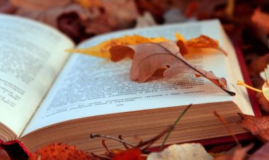 Павлодарских библиотекарей пригласили на форум